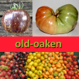 old-oaken's Avatar
